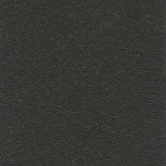 01B75