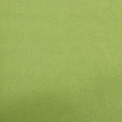 8 APPLE