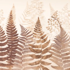 Fern 1
