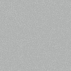 117062