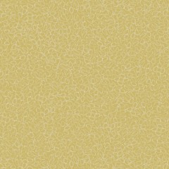 117063