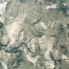 12099
