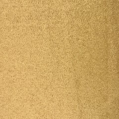 19 GOLD