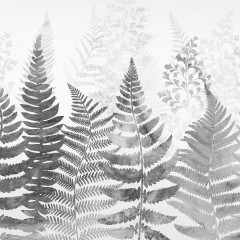 Fern 2