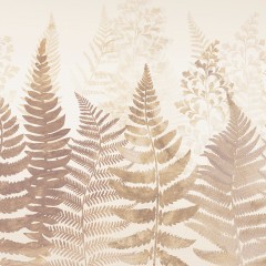 Fern 3