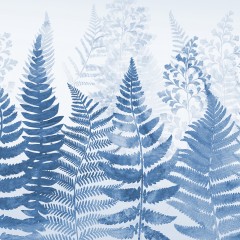Fern 4