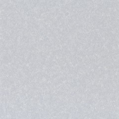 7832