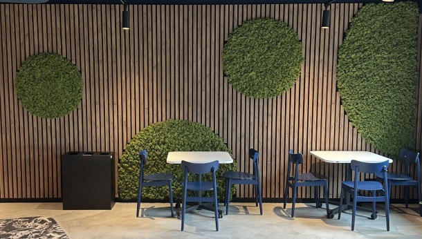 Akustyczne ściany w duchu biophilic design 