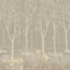 Forest 1