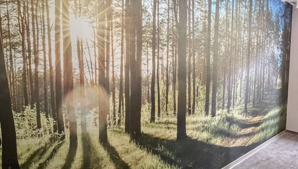 TERAPIA LASEM WEDŁUG MURASPEC
