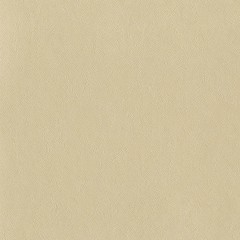 01B11