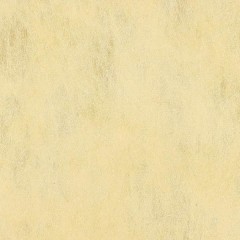 02A19