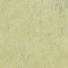 02A36