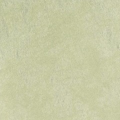 02A38