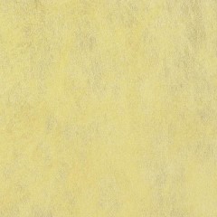 02A49