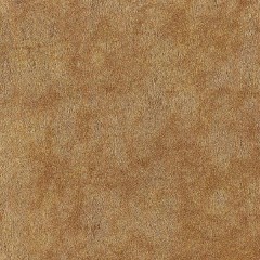 02A51