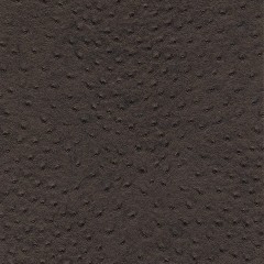 10698