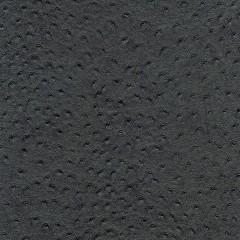 10699