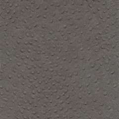 10702