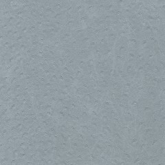 10704
