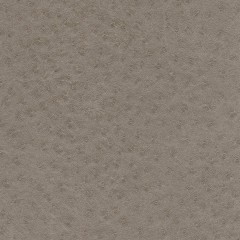 10706