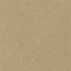 10707