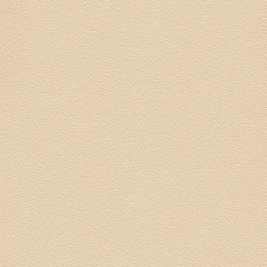 9828