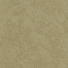 BM-61220203
