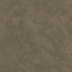 BM-61220204