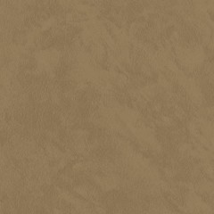 BM-61220205