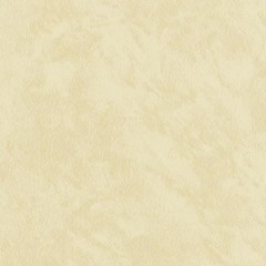 BM-61220207