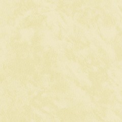 BM-61220208