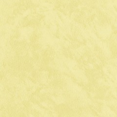 BM-61220209