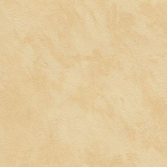 BM-61220230