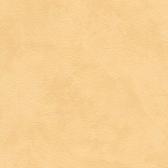 BM-61220280