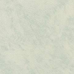 BM-61220303
