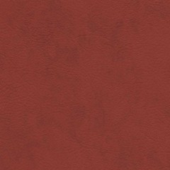 BM-61220555