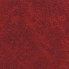 BM-61220569