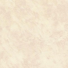BM-61220760