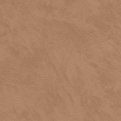 BM-61220799