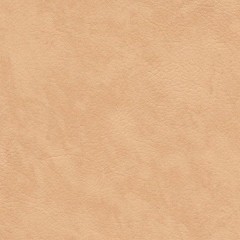 BM-61220804