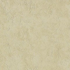 BM-61223281