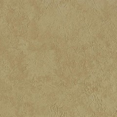 BM-61223710
