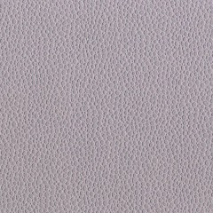 BM-61229300