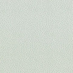 BM-61229401