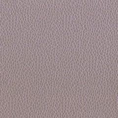 BM-61229800