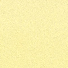BTV-66041207