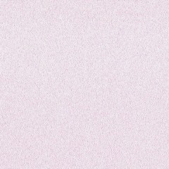 BTV-66041380