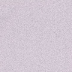 BTV-66041385