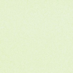BTV-66041435
